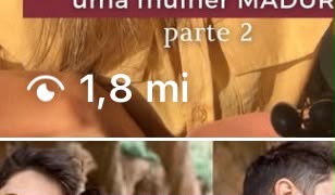 Visualizações